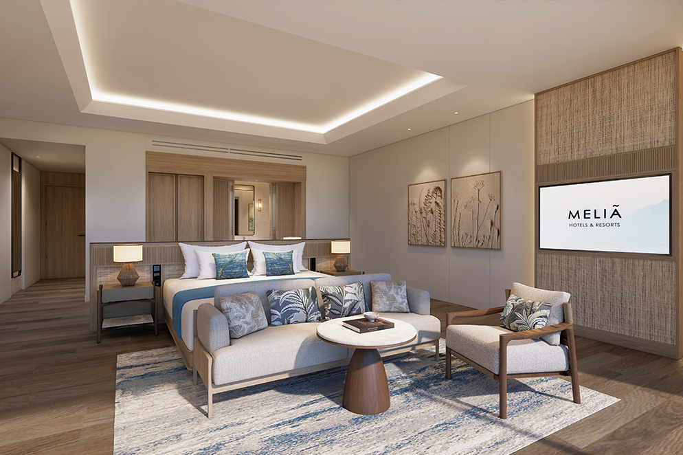 HINH-SUITE-V1