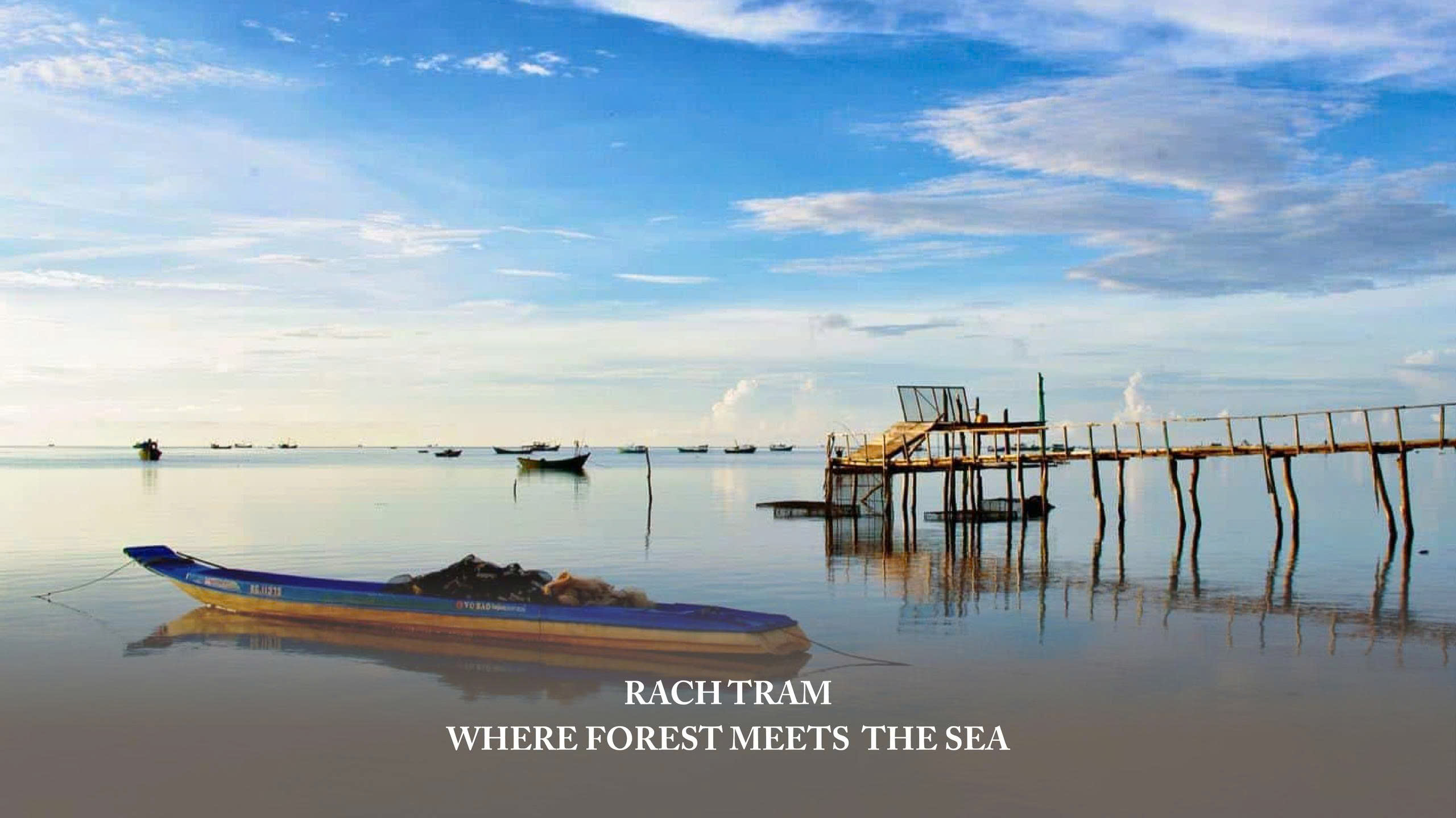 Rach Tram – The Green Note in Phu Quoc’s Symphony of Nature